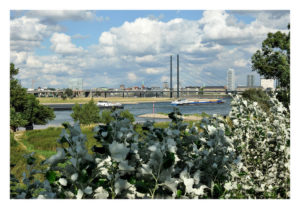 Postkarte mit einem Blick auf den Rhein bei Düsseldorf und die Kniebrücke